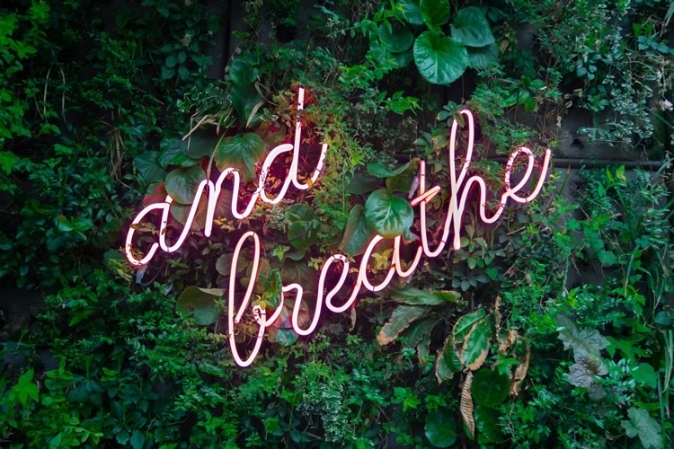 photo of neon light that says "and breathe"